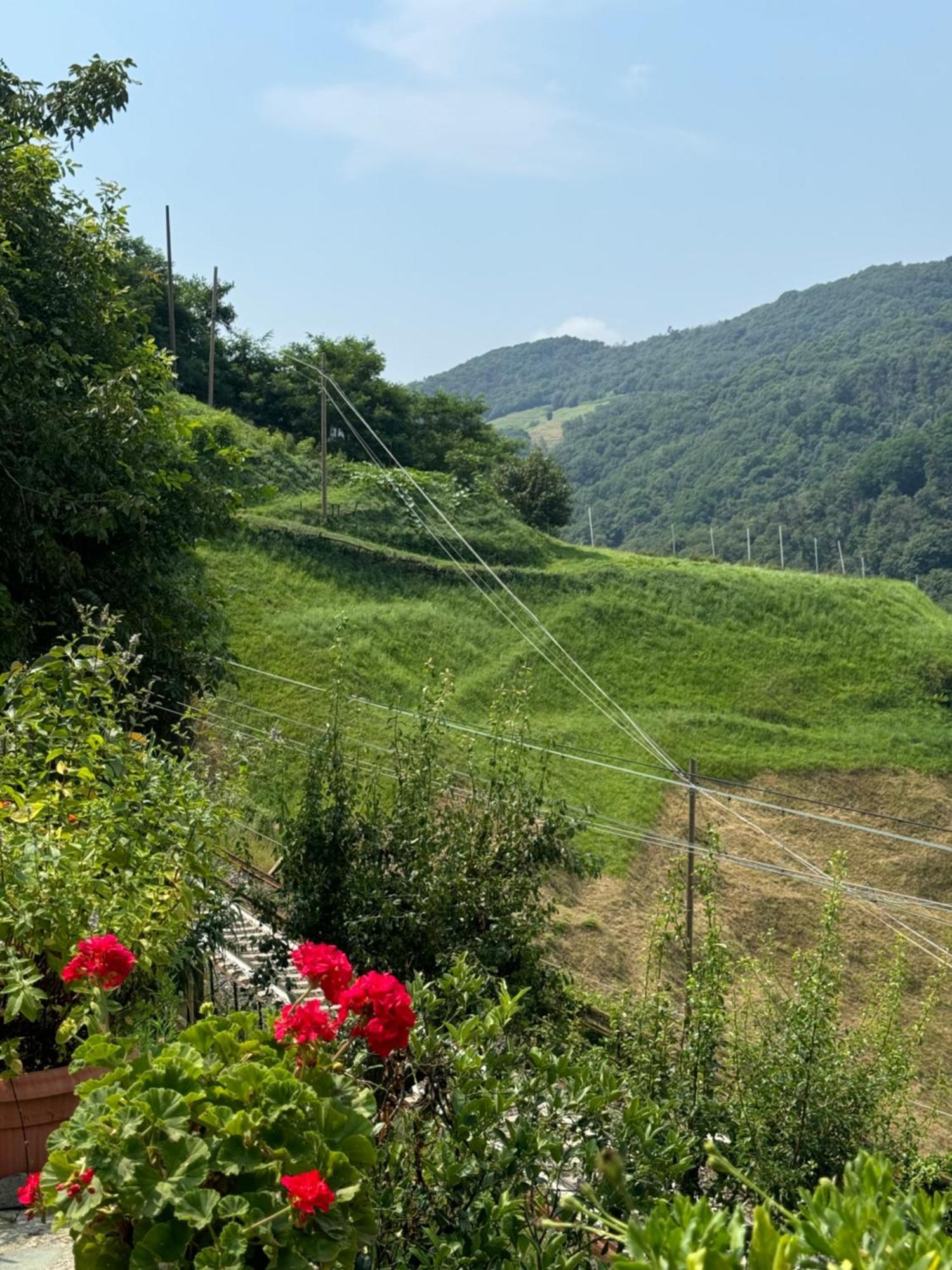 B&B Al Ciliegio Del Turchino Mele Dış mekan fotoğraf