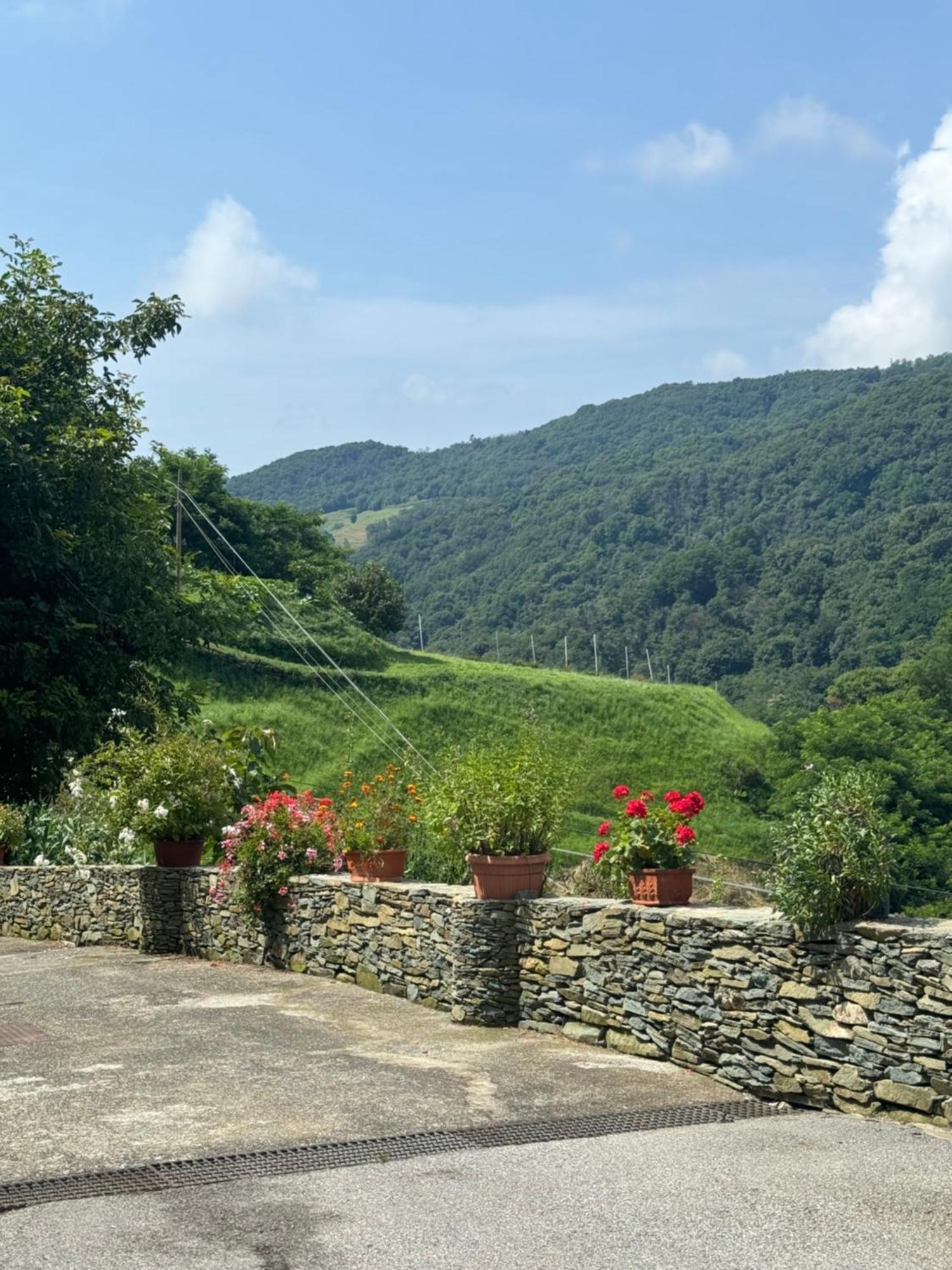 B&B Al Ciliegio Del Turchino Mele Dış mekan fotoğraf