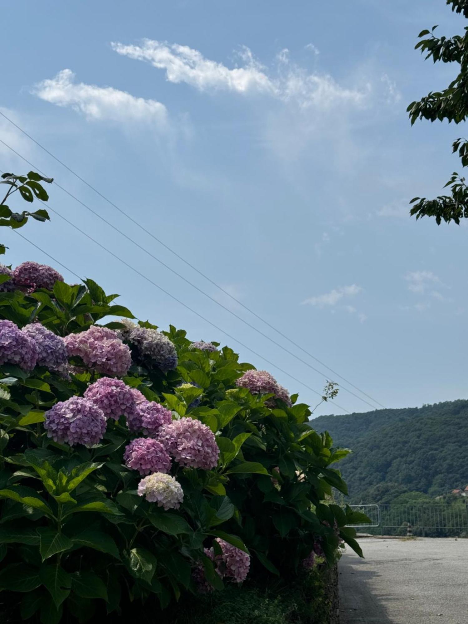 B&B Al Ciliegio Del Turchino Mele Dış mekan fotoğraf