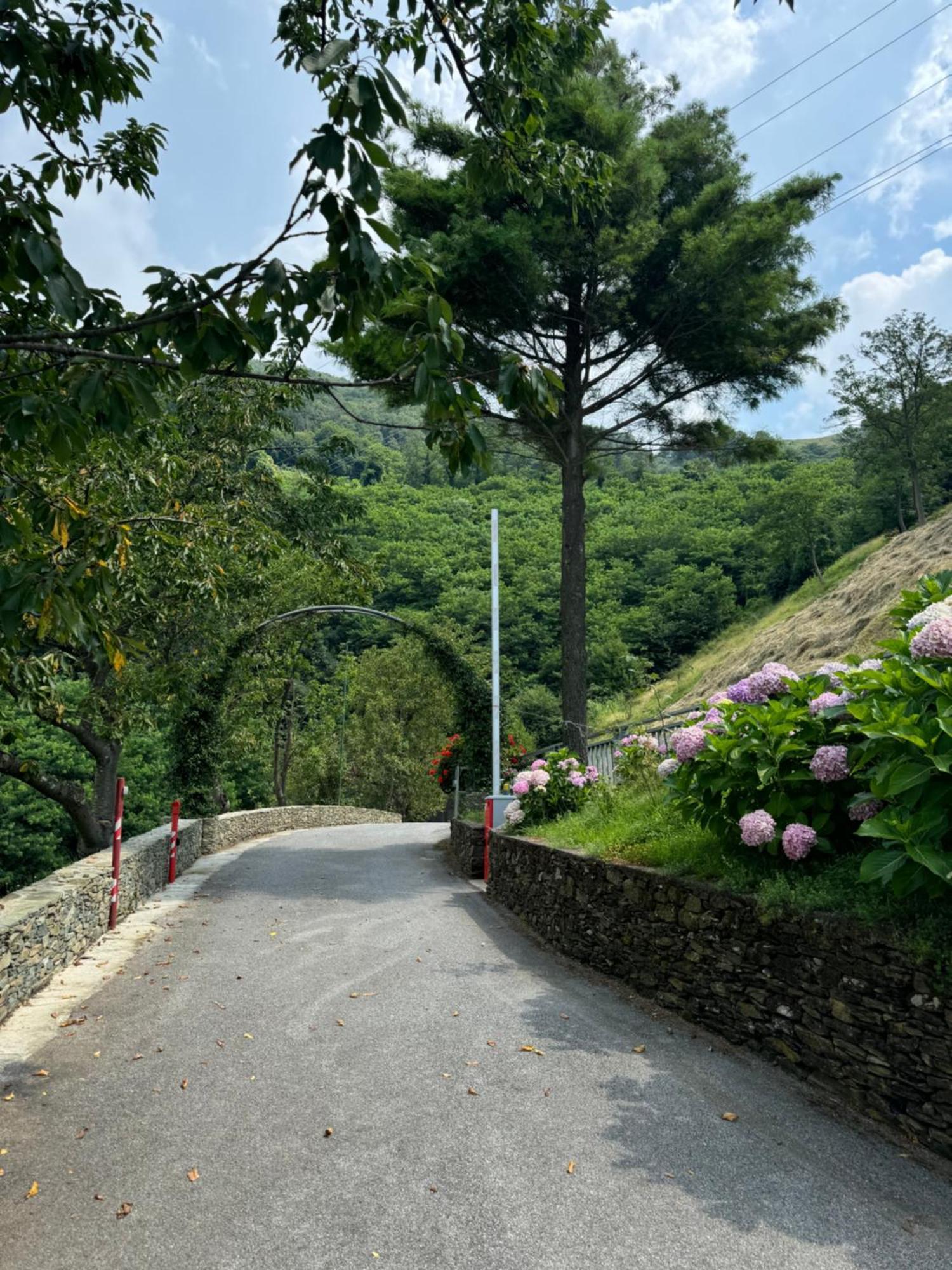 B&B Al Ciliegio Del Turchino Mele Dış mekan fotoğraf